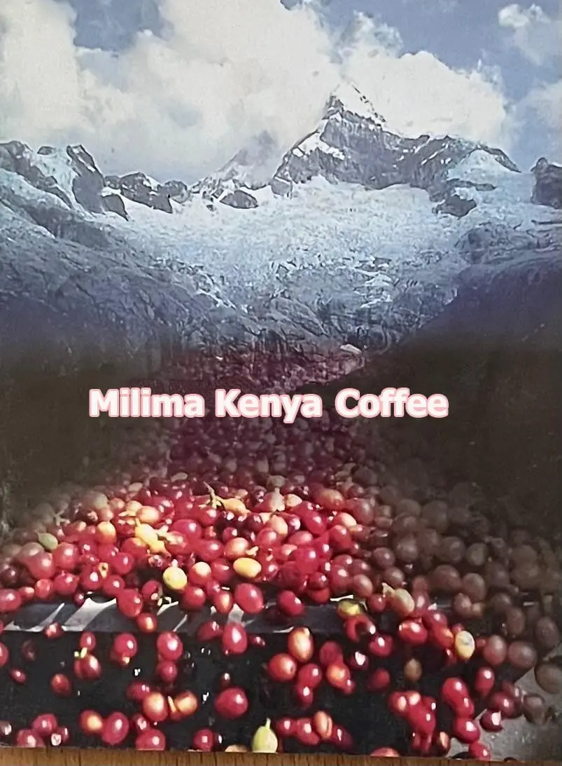 Milima Kenya Coffee